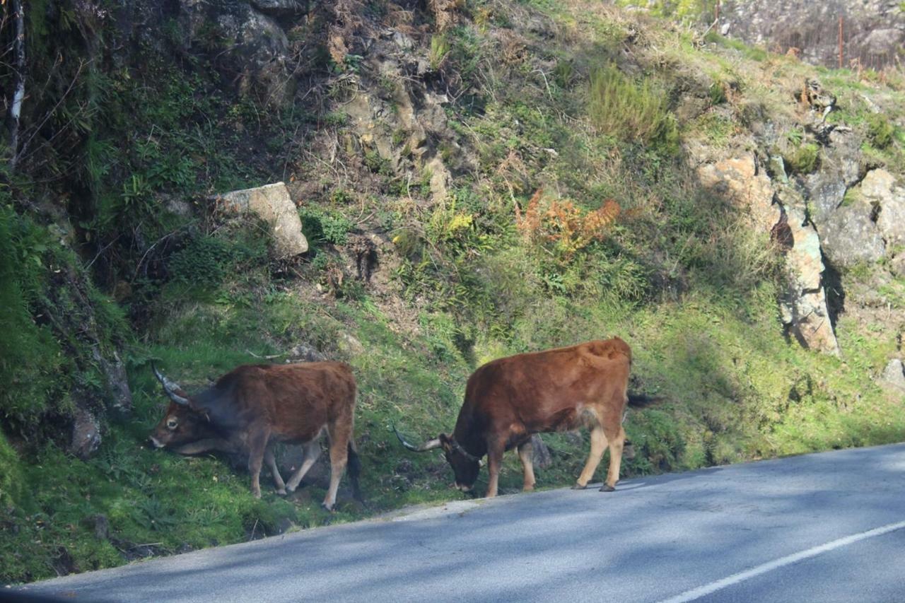 Casinha Da Raposeira Villa Soajo Buitenkant foto